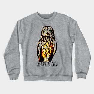 Owl Colorful Crewneck Sweatshirt